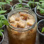 Hnojivo Secret Bread pro silný start slabých jarních sazenic hnojivo-secret-bread-pro-silny-start-slabych-jarnich-sazenic.png